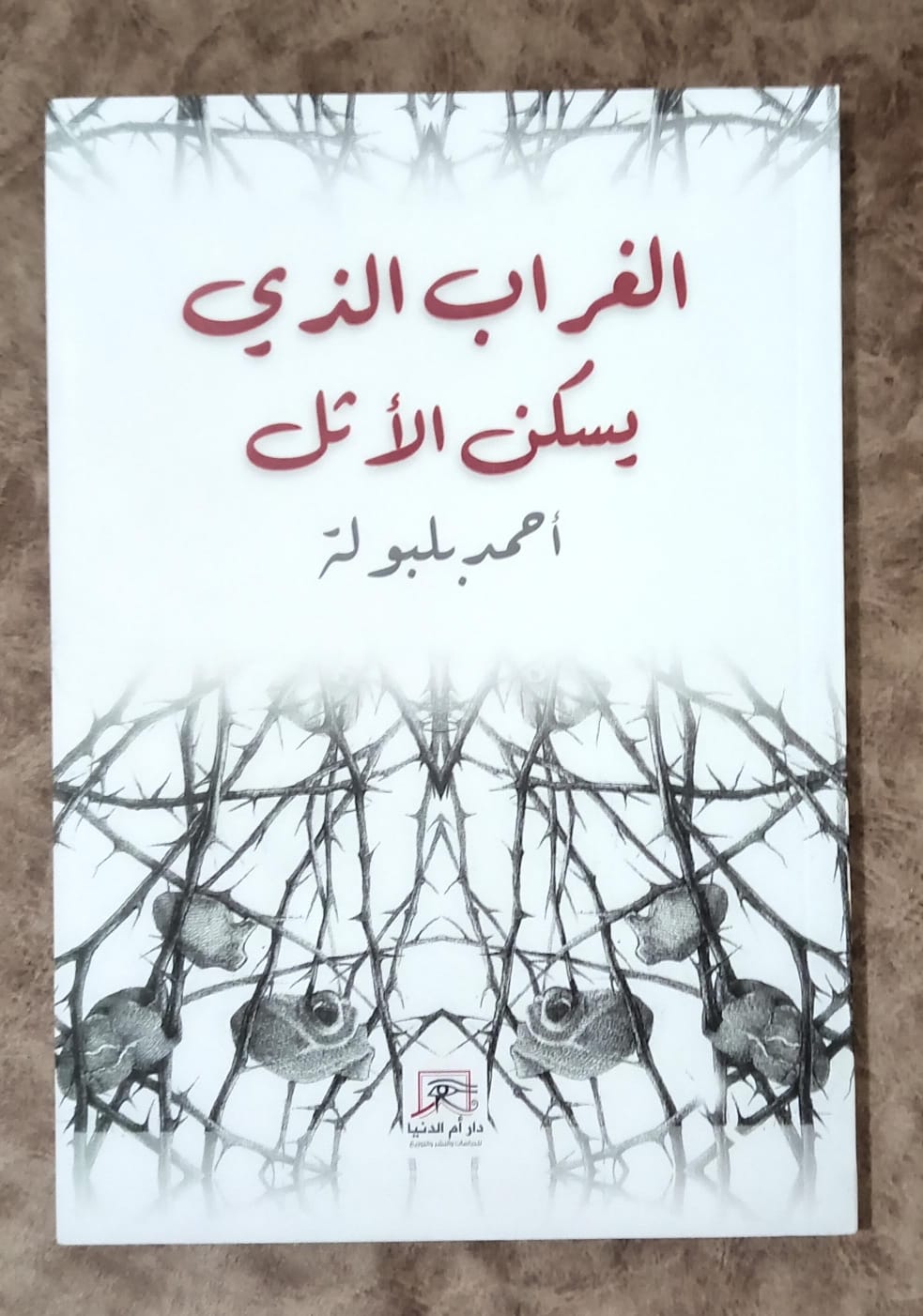 الغراب الذي يسكن الأثل.. ديوان أحمد بلبولة في معرض القاهرة الدولي للكتاب 